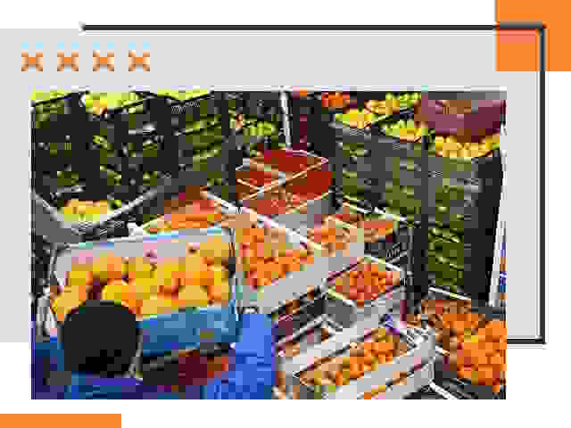 Перевозка скоропортящихся продуктов в Йошкар-Оле